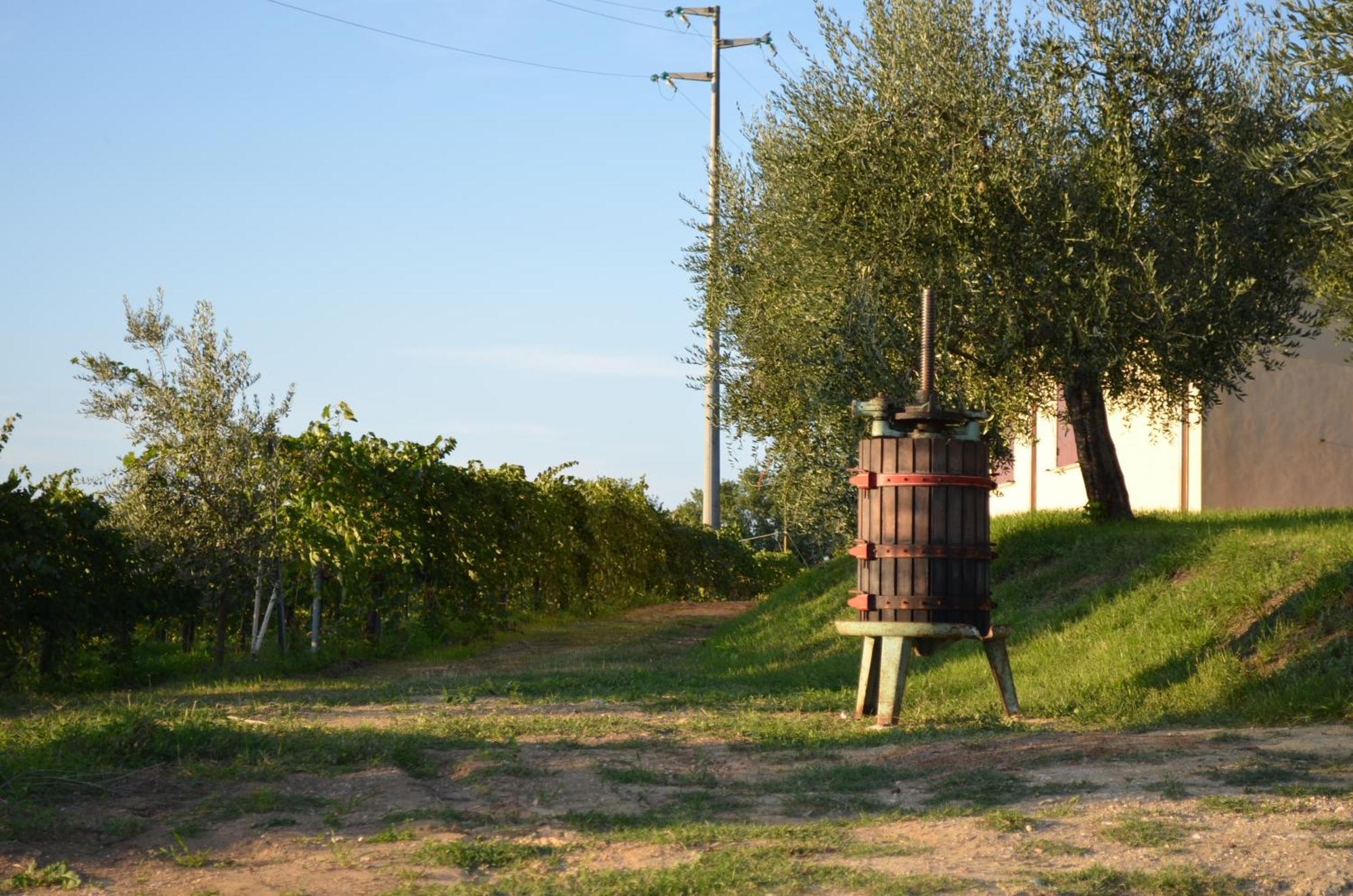 Agriturismo Casale Contessa Montebuono  Exteriér fotografie