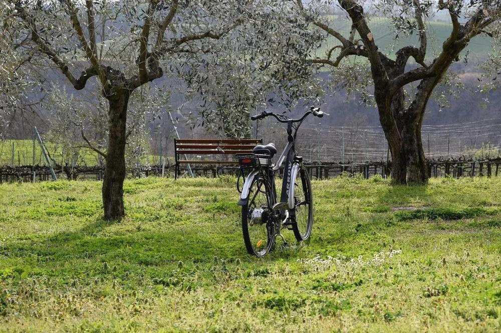 Agriturismo Casale Contessa Montebuono  Exteriér fotografie